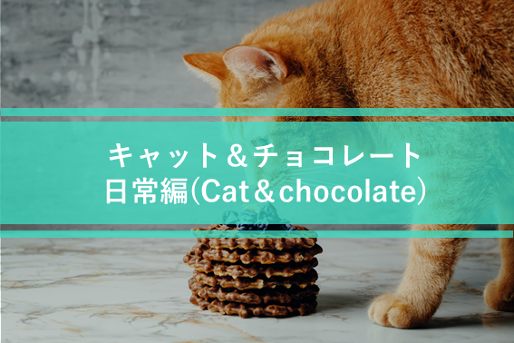 キャット＆チョコレート 日常編(Cat＆chocolate)